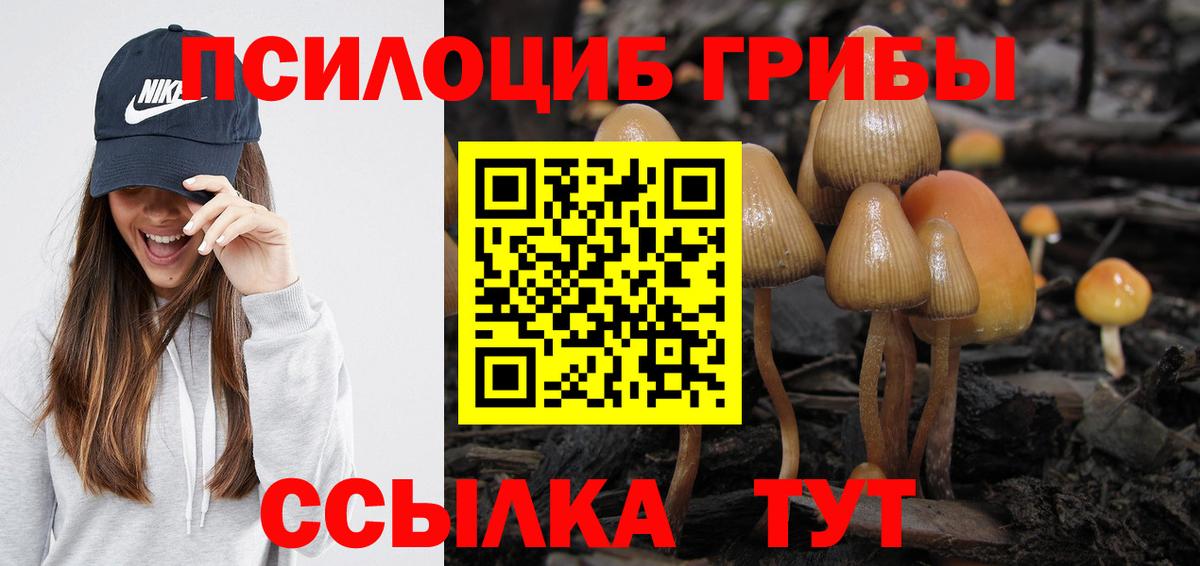 Псилоцибиновые грибы MAGIC MUSHROOMS  Вход с VPN  Волжский 
