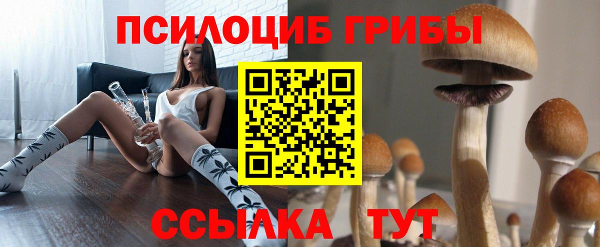 Псилоцибиновые грибы Psilocybine cubensis Волжский